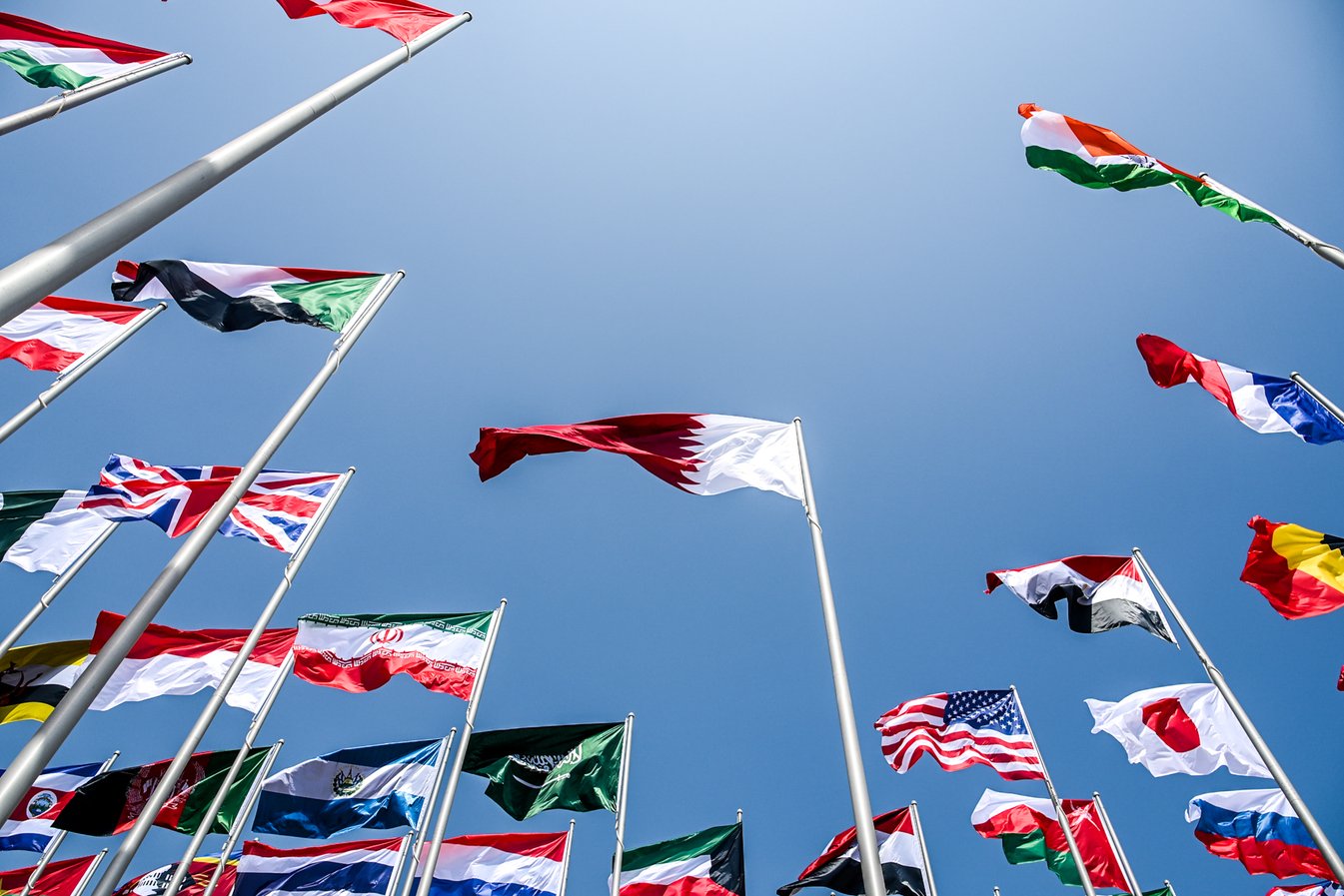 44 Nationalities